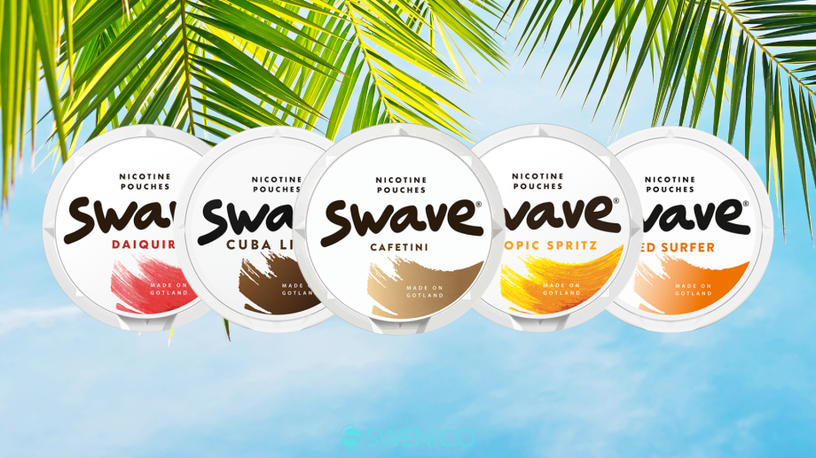 Shiro Nicotine Pouches - Everything You Need to Know!