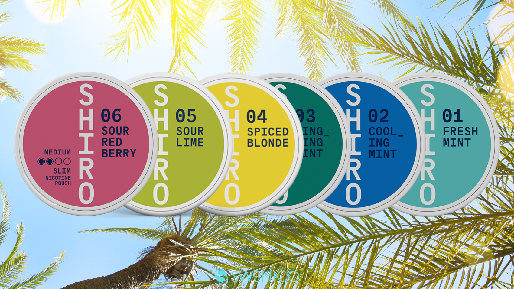 Shiro Nicotine Pouches – Everything You Need to Know!