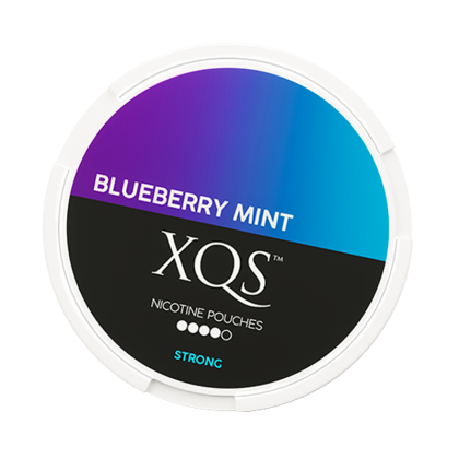 XQS Blueberry Mint Slim Extra Strong