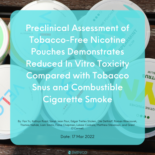 Preclinical Assessment of Tobacco-Free Nicotine Pouches Demonstrates Reduced In Vitro Toxicity Compared with Tobacco Snus and Combustible Cigarette Smoke