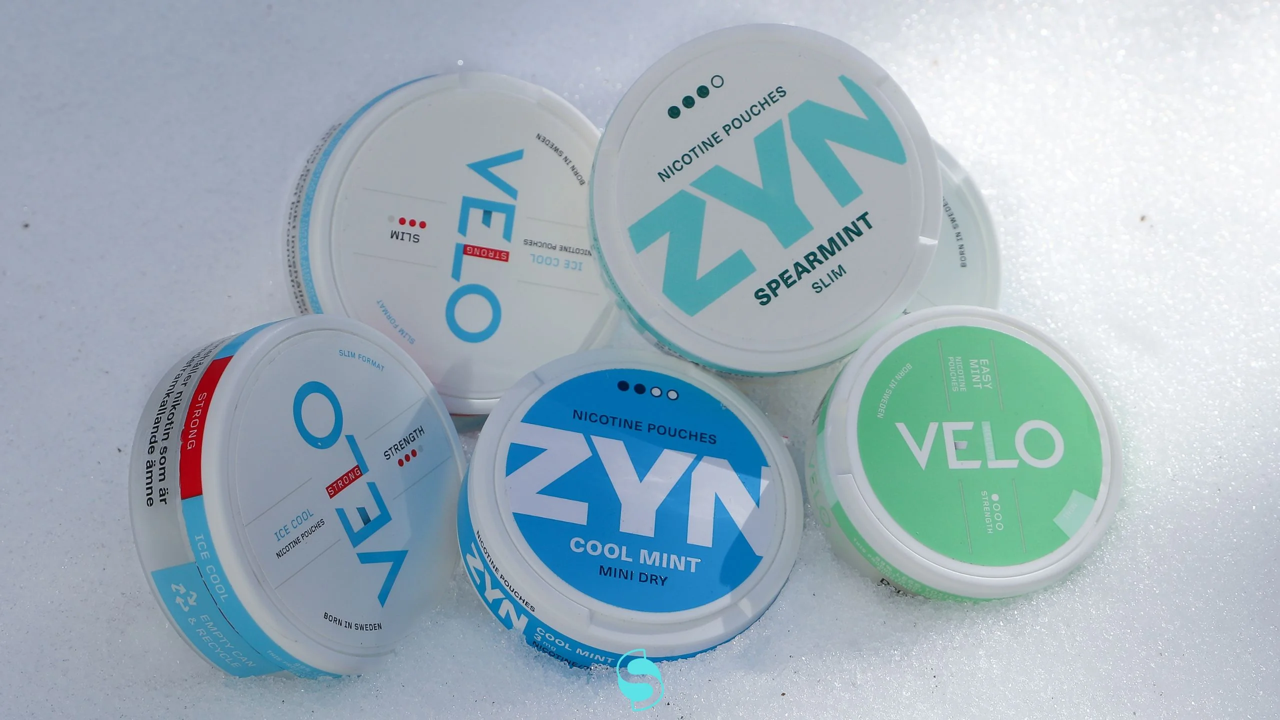 A Complete Guide to Nicotine Pouches Flavors