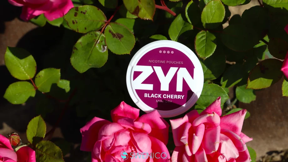 ZYN nicotine pouches