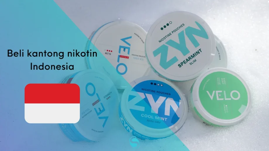 Beli kantong nikotin Indonesia